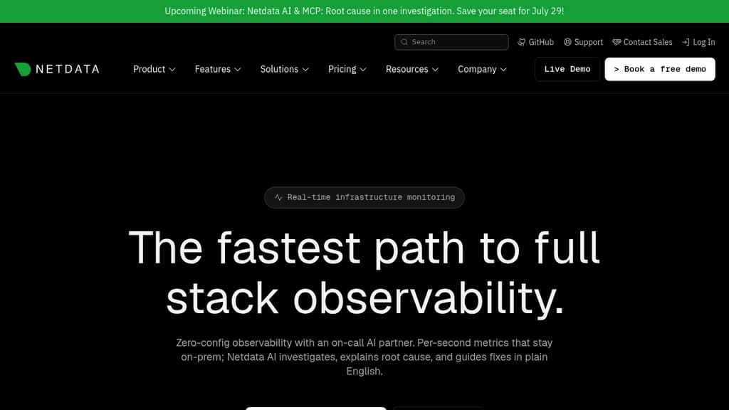 Screenshot of NetData website