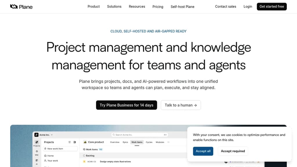Screenshot of Plane website