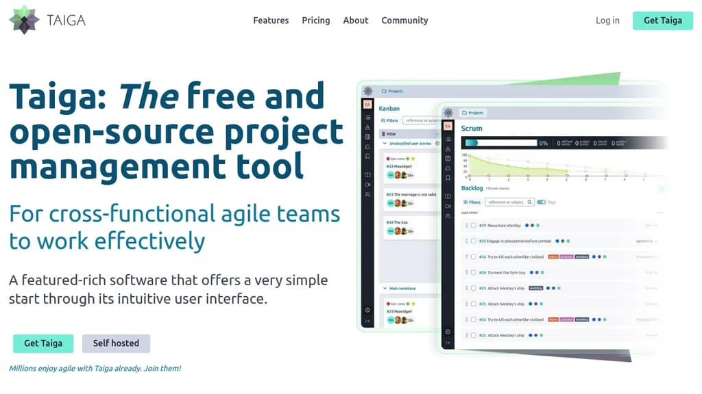 Screenshot of Taiga website
