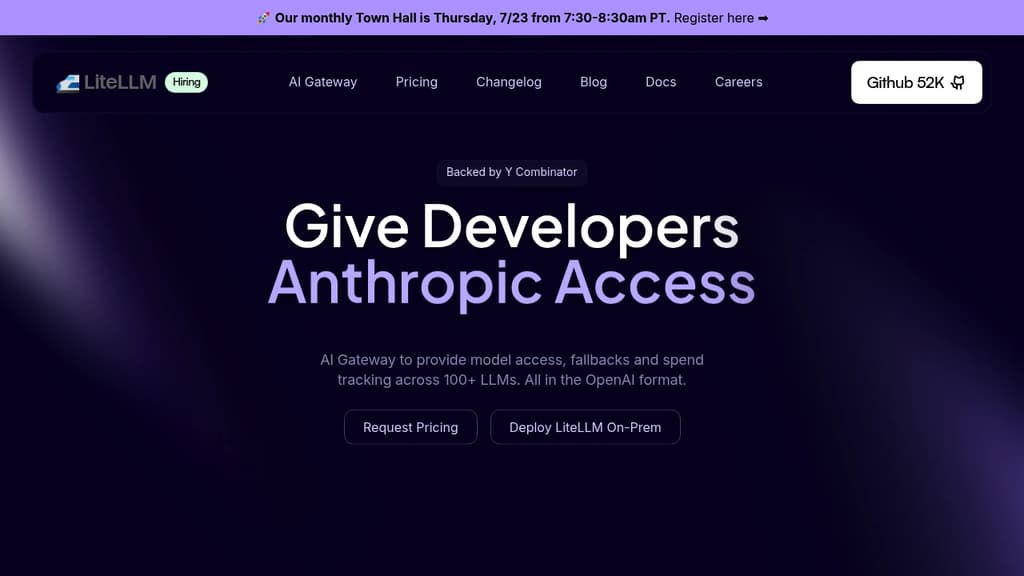 Screenshot of LiteLLM website