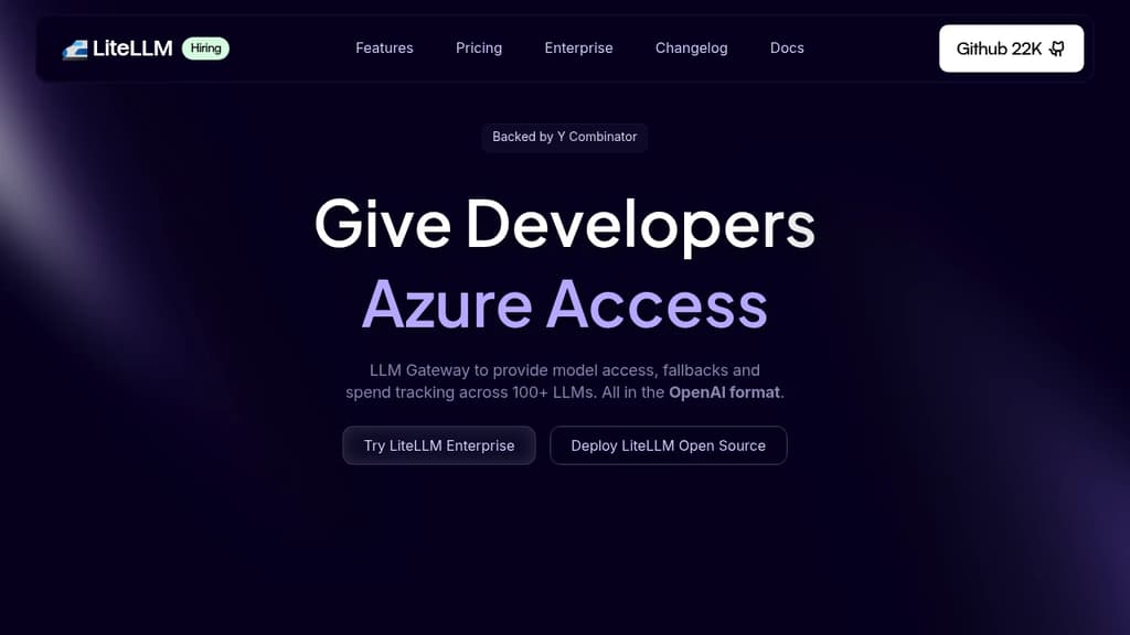 Screenshot of LiteLLM website