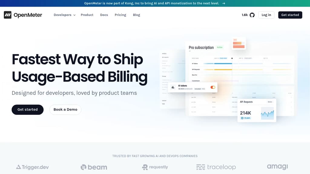 Screenshot of OpenMeter website