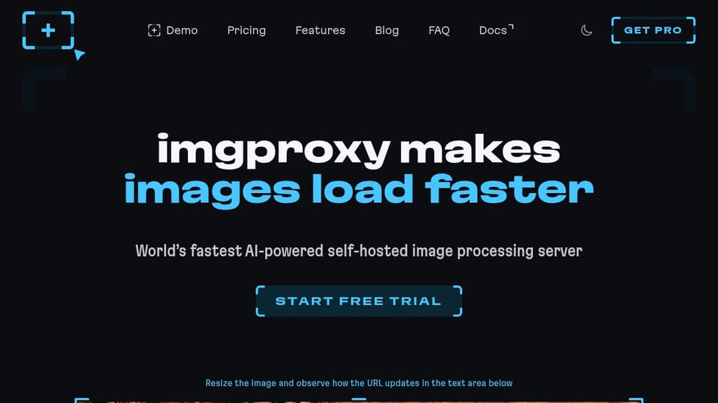 Screenshot of imgproxy