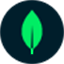 Favicon of MongoDB
