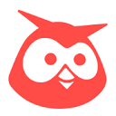 Favicon of HootSuite