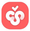 Favicon of Cherry Studio