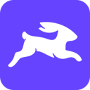 Favicon of Directus