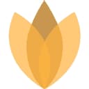 Favicon of Contentport