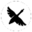 Favicon of Goose