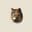 Favicon of Tabby